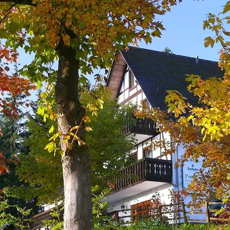 Stiegelmeier Winterberg